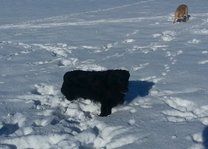 Landhaus Ohnesorg Nesselwang